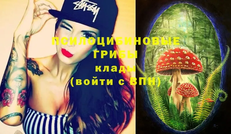 блэк спрут   Мичуринск  Псилоцибиновые грибы Magic Shrooms 